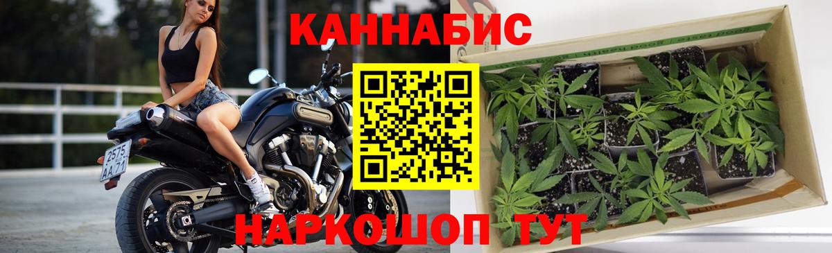 Шишки марихуана White Widow Ржев